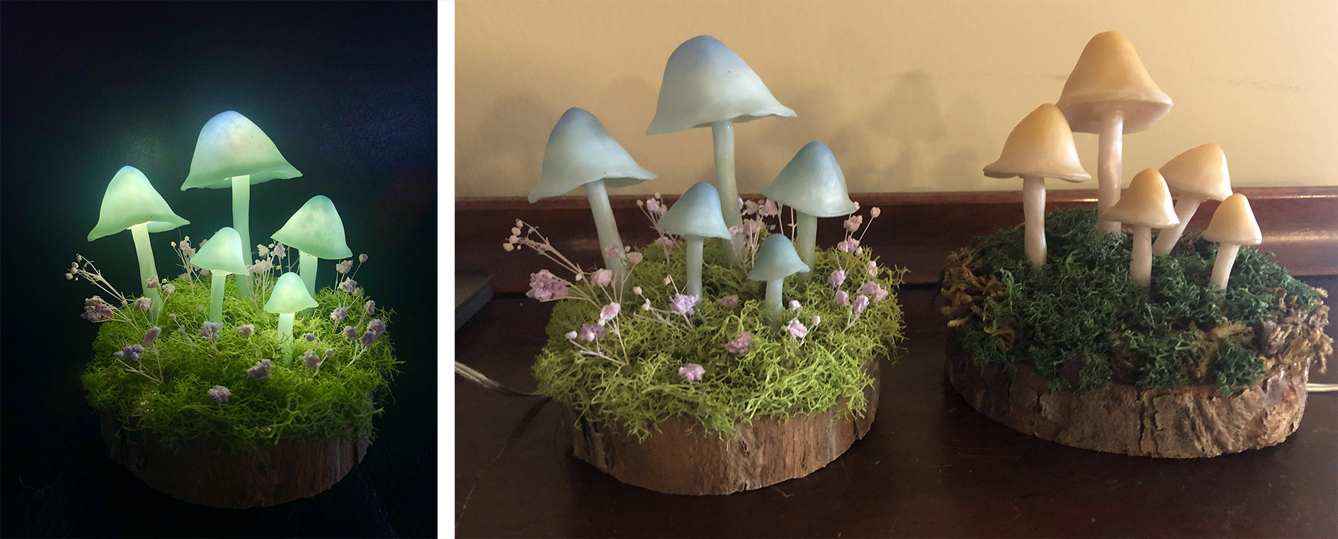 3D Mushrooms